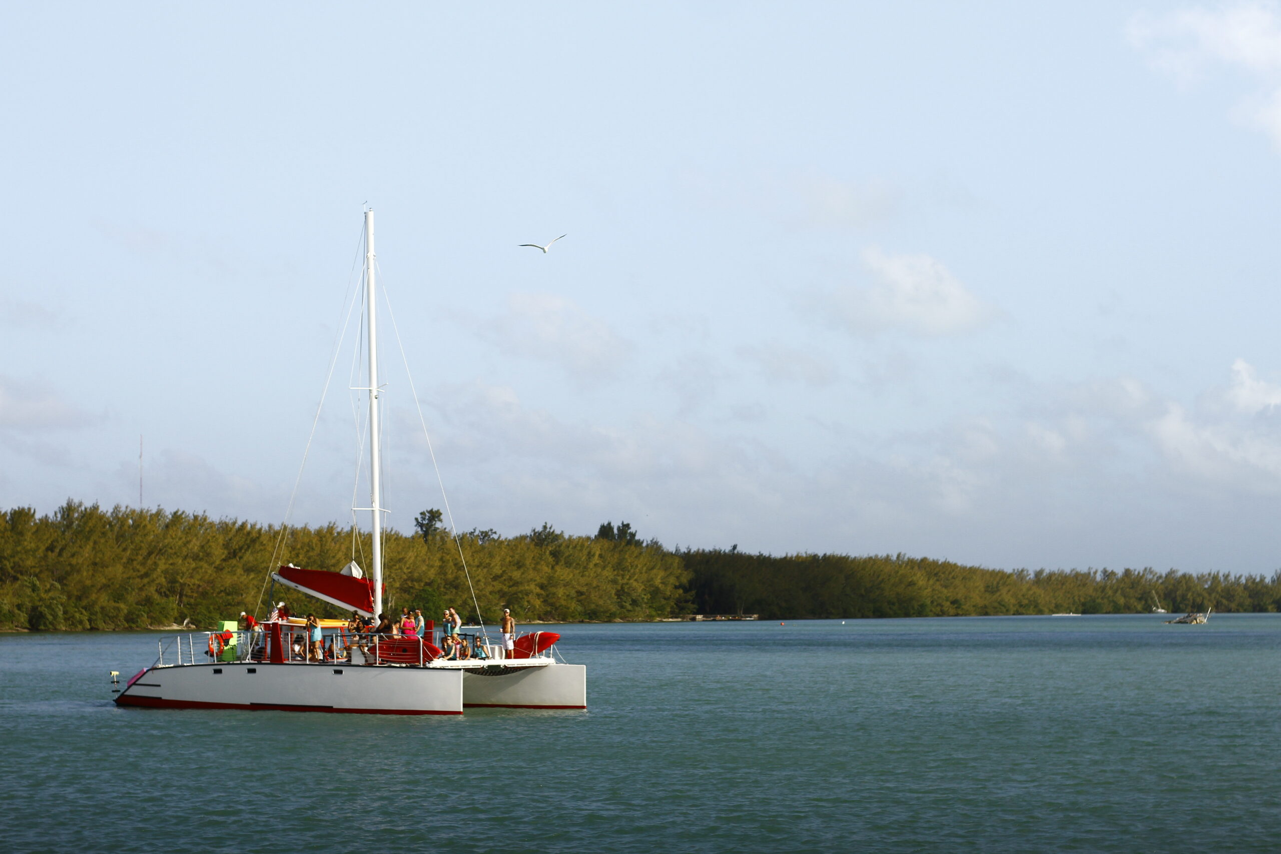 49 ft catamaran party boat in Miami, FL